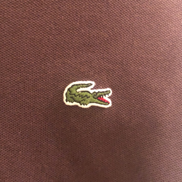 Lacoste Classic Brown Polo - Picture 3 of 5
